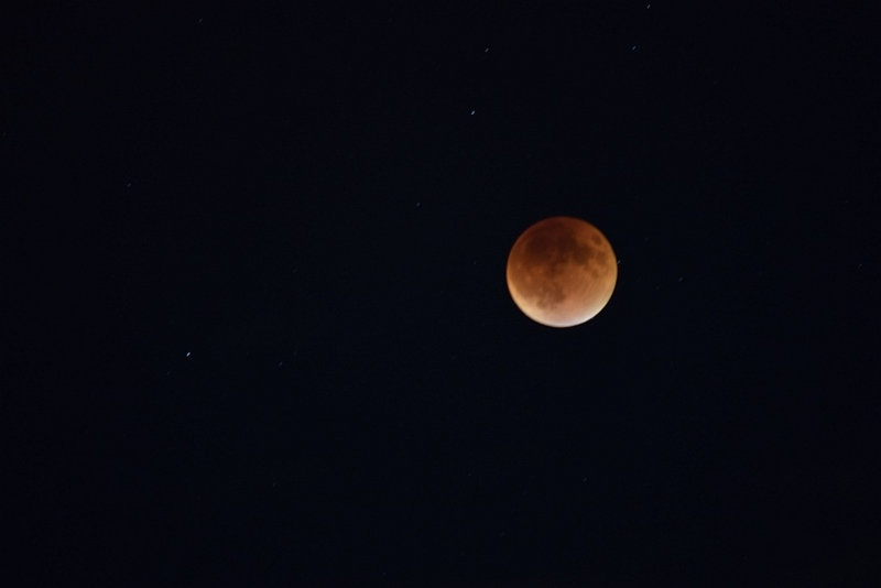 Illustration for article titled 34 Amazing Photos Of The Super Blood Moon